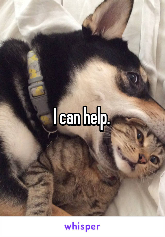 I can help. 