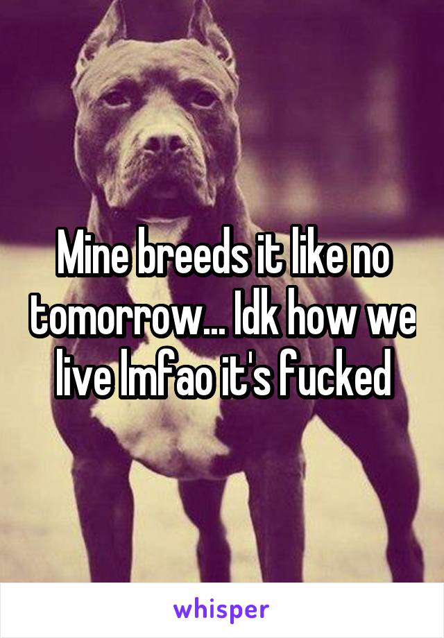 Mine breeds it like no tomorrow... Idk how we live lmfao it's fucked