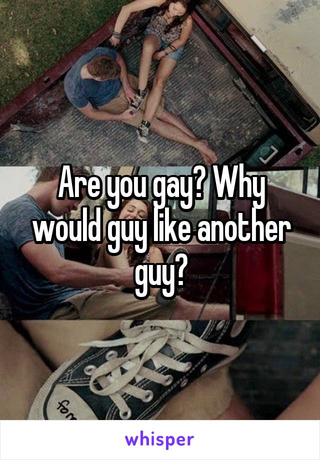 Are you gay? Why would guy like another guy?