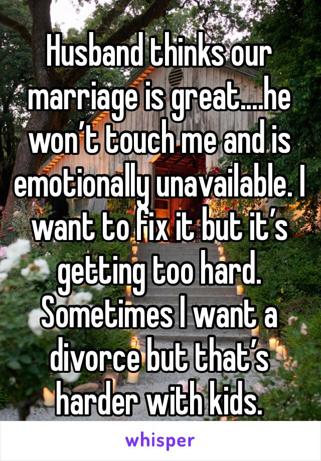 Husband thinks our marriage is great....he won’t touch me and is emotionally unavailable. I want to fix it but it’s getting too hard. Sometimes I want a divorce but that’s harder with kids. 