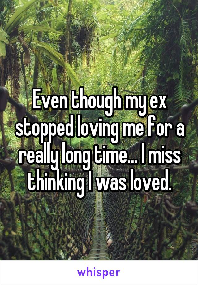 Even though my ex stopped loving me for a really long time... I miss thinking I was loved.