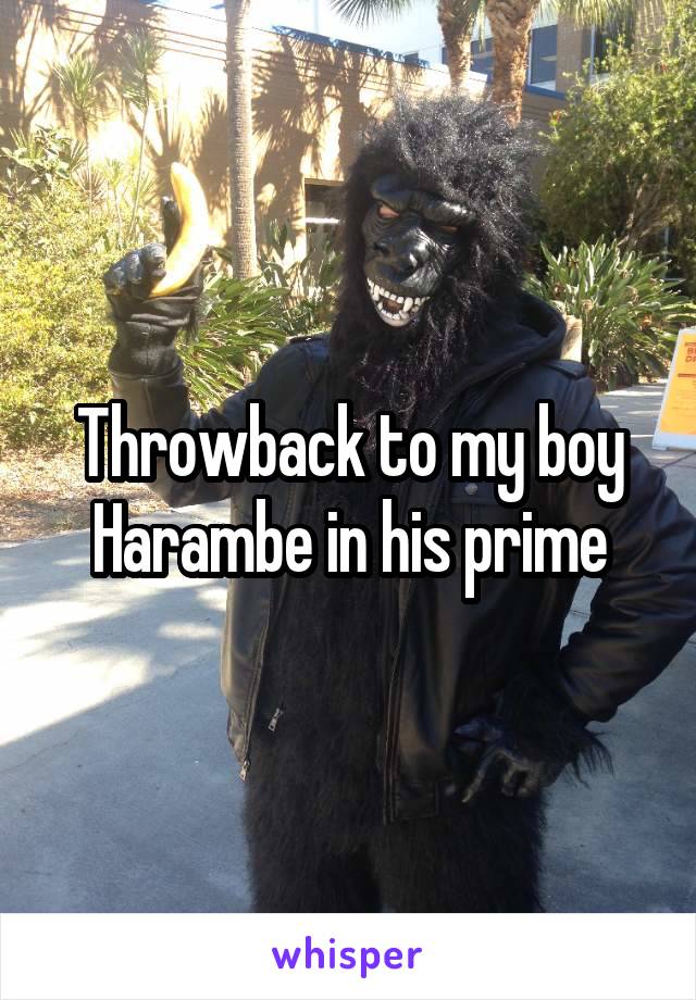 Throwback to my boy Harambe in his prime