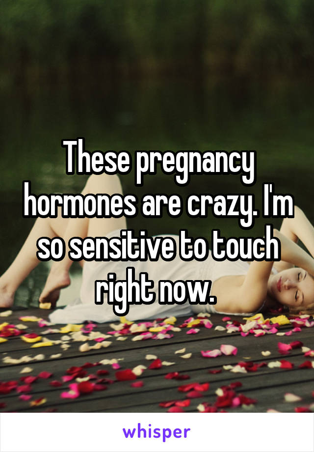 These pregnancy hormones are crazy. I'm so sensitive to touch right now. 