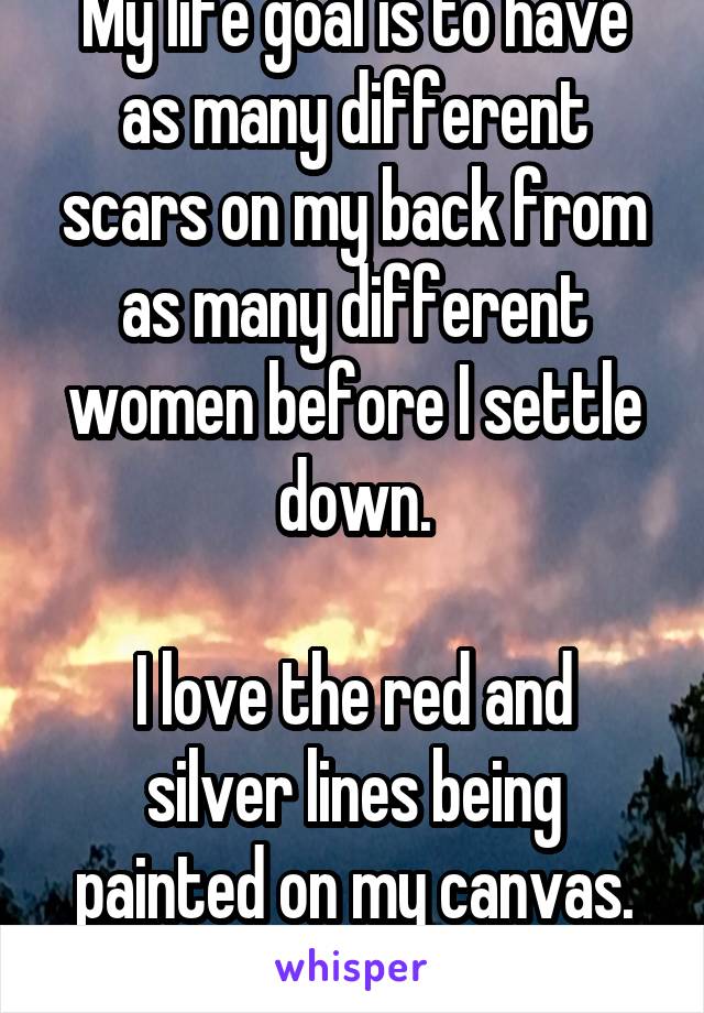 My life goal is to have as many different scars on my back from as many different women before I settle down.

I love the red and silver lines being painted on my canvas.
