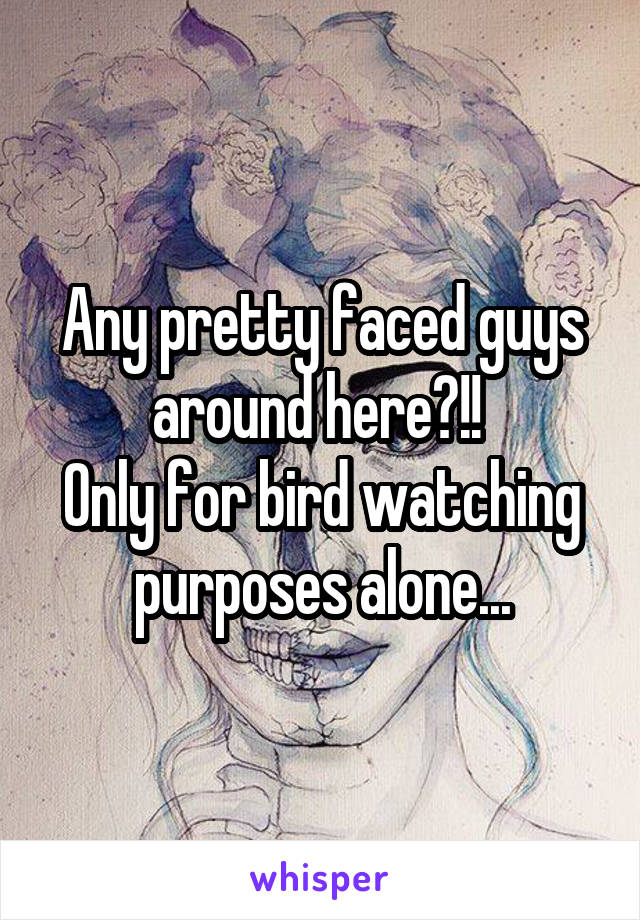 Any pretty faced guys around here?!! 
Only for bird watching purposes alone...