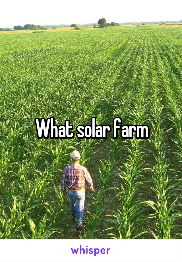 What solar farm
