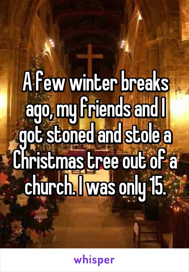 A few winter breaks ago, my friends and I got stoned and stole a Christmas tree out of a church. I was only 15.