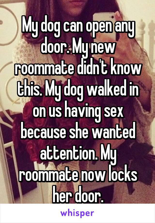 My dog can open any door. My new roommate didn't know this. My dog walked in on us having sex because she wanted attention. My roommate now locks her door.