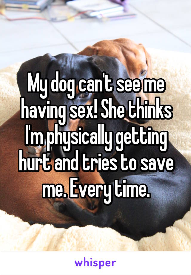 My dog can't see me having sex! She thinks I'm physically getting hurt and tries to save me. Every time.