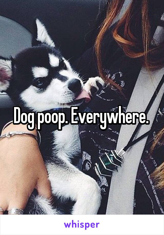 Dog poop. Everywhere. 