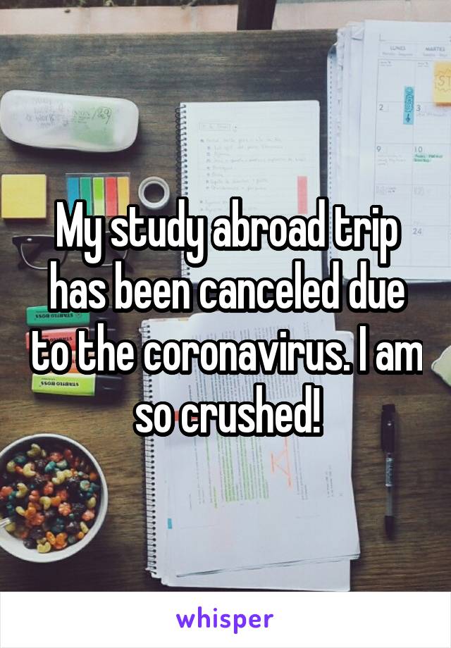 My study abroad trip has been canceled due to the coronavirus. I am so crushed!