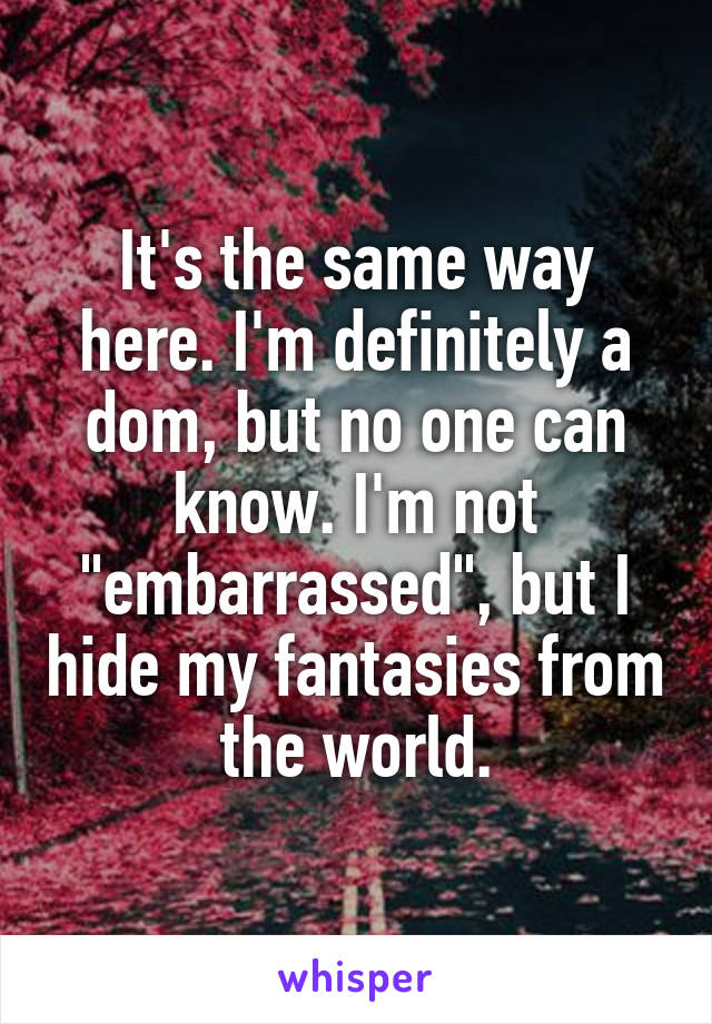 It's the same way here. I'm definitely a dom, but no one can know. I'm not "embarrassed", but I hide my fantasies from the world.