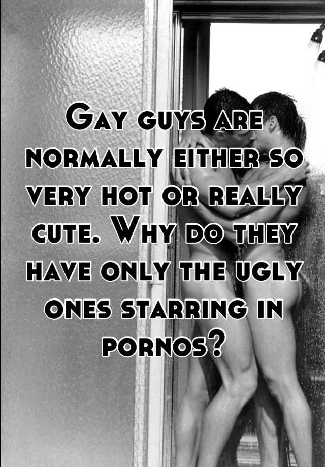 Gay guys are normally either so very hot or really cute. Why do they have only the ugly ones starring in pornos?