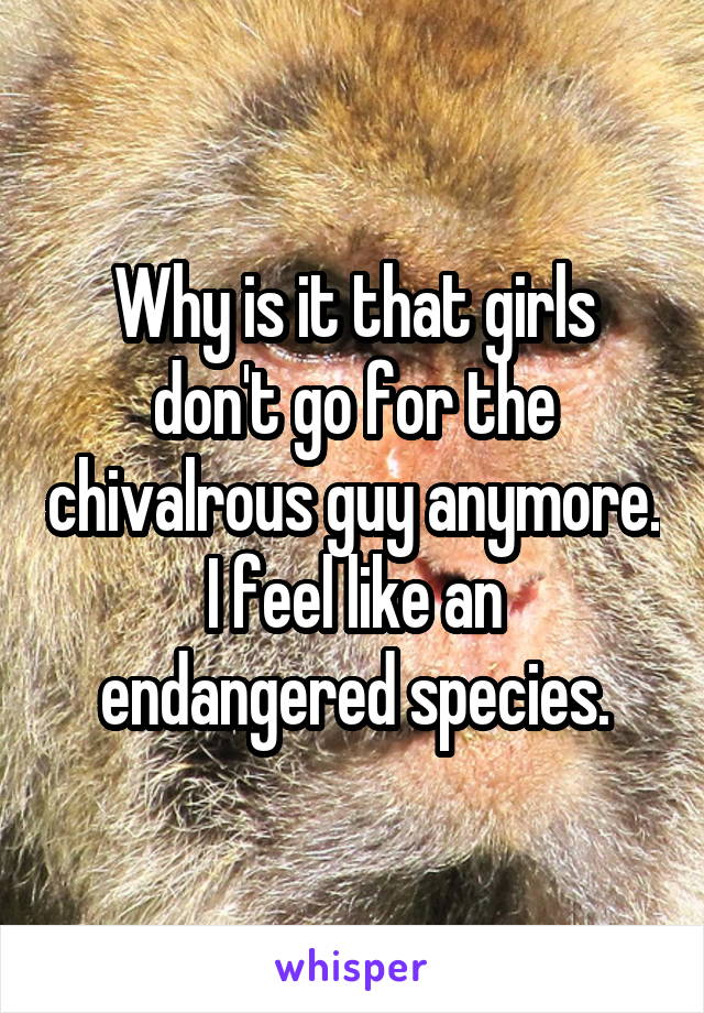 Why is it that girls don't go for the chivalrous guy anymore.
I feel like an endangered species.