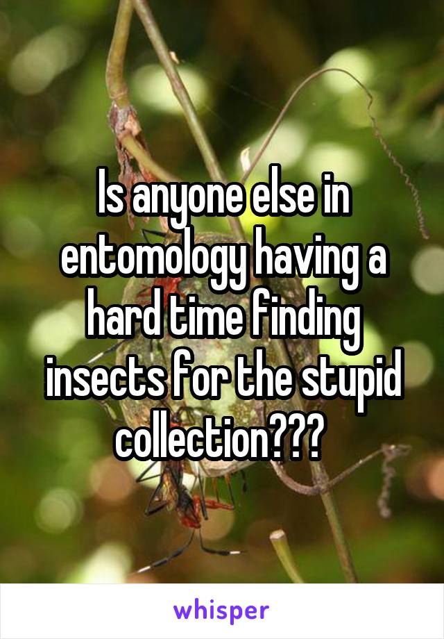 Is anyone else in entomology having a hard time finding insects for the stupid collection??? 