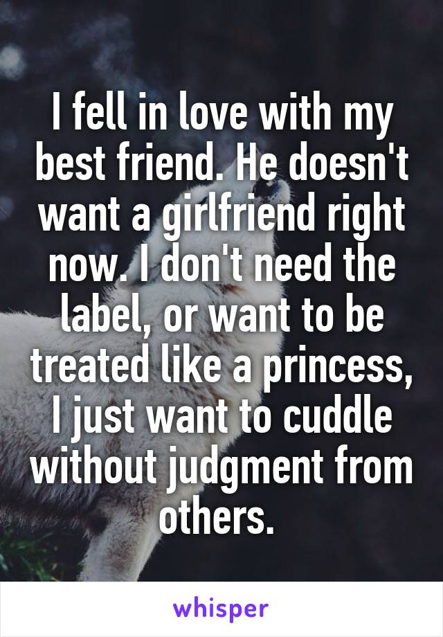 I fell in love with my best friend. He doesn't want a girlfriend right now. I don't need the label, or want to be treated like a princess, I just want to cuddle without judgment from others. 