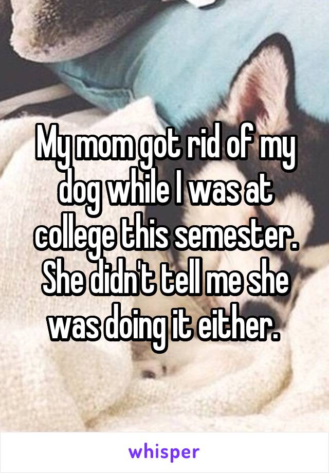 My mom got rid of my dog while I was at college this semester. She didn't tell me she was doing it either. 