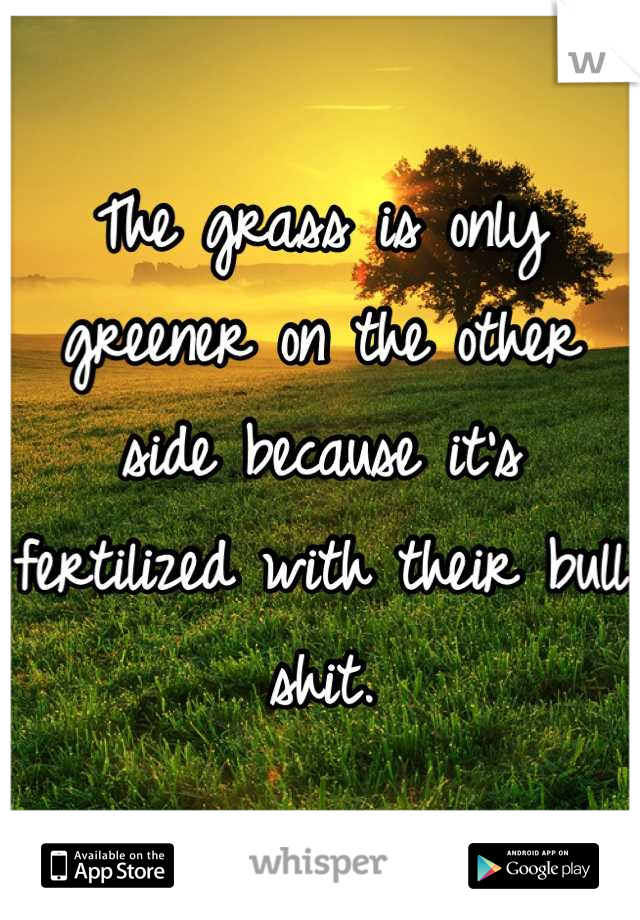 The grass is only greener on the other side because it's fertilized with their bull shit.