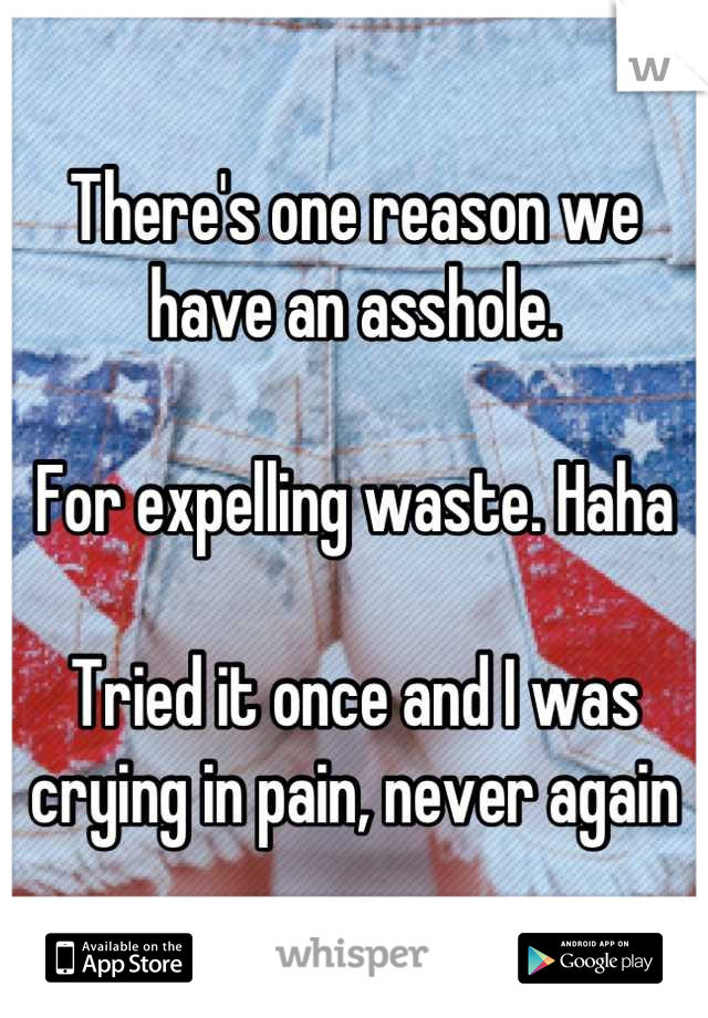 There's one reason we have an asshole.

For expelling waste. Haha

Tried it once and I was crying in pain, never again