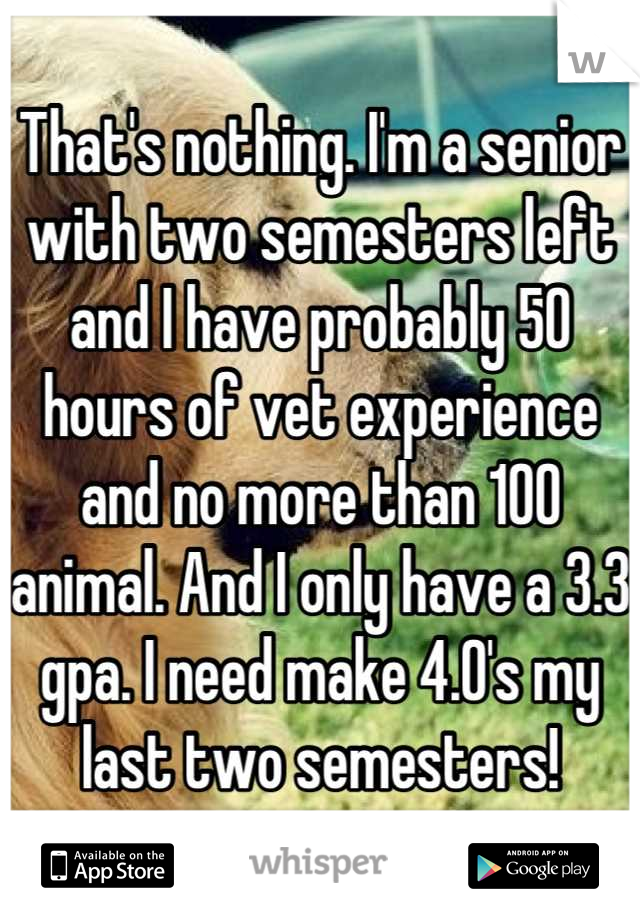 That's nothing. I'm a senior with two semesters left and I have probably 50 hours of vet experience and no more than 100 animal. And I only have a 3.3 gpa. I need make 4.0's my last two semesters!