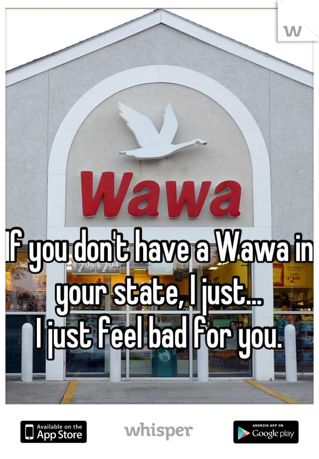 If you don't have a Wawa in your state, I just... 
I just feel bad for you.