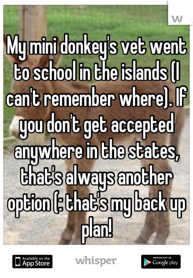 My mini donkey's vet went to school in the islands (I can't remember where). If you don't get accepted anywhere in the states, that's always another option (: that's my back up plan!