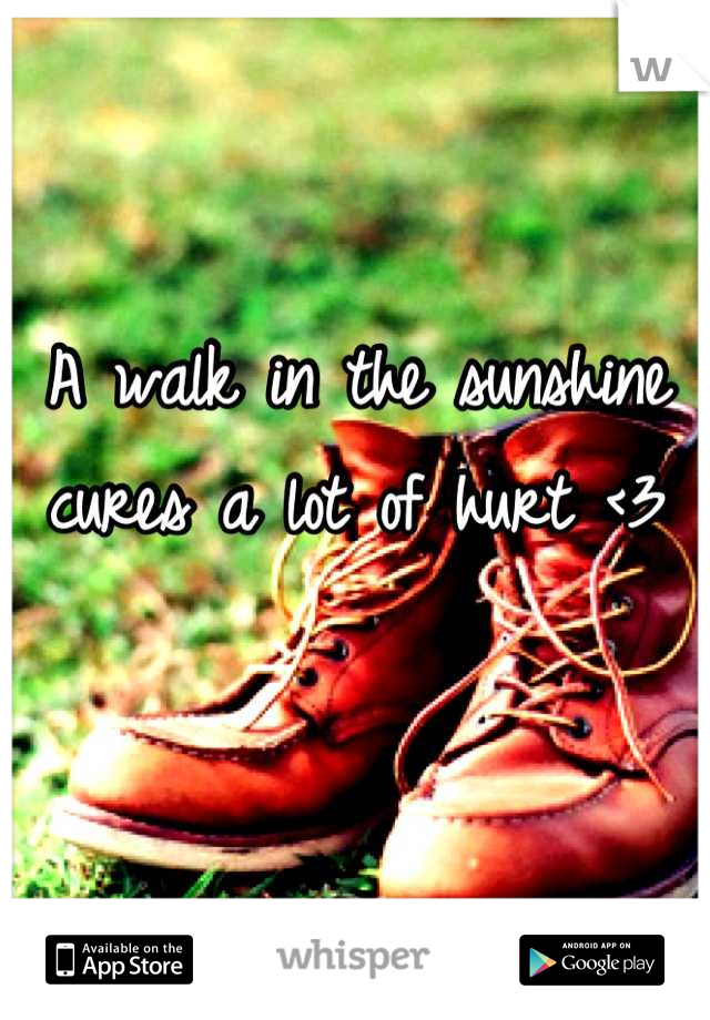 A walk in the sunshine cures a lot of hurt <3