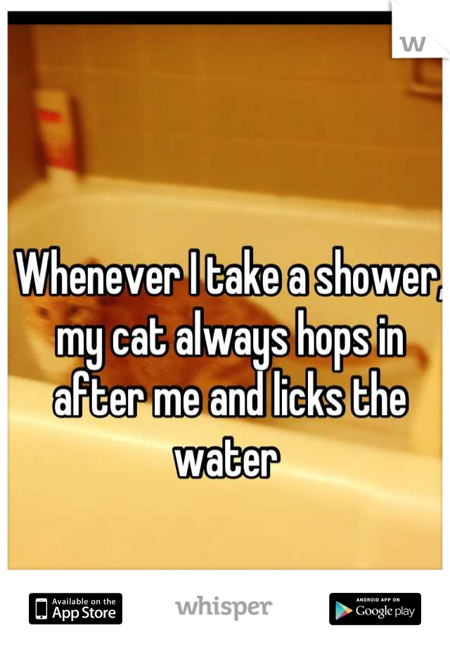 Whenever I take a shower, my cat always hops in after me and licks the water 