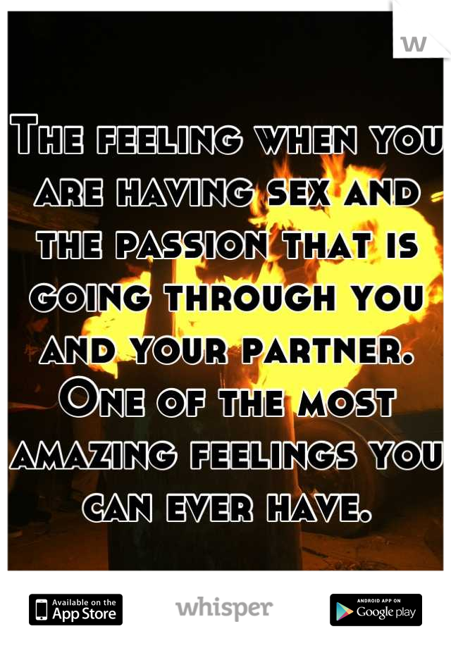 The feeling when you are having sex and the passion that is going through you and your partner. One of the most amazing feelings you can ever have.
