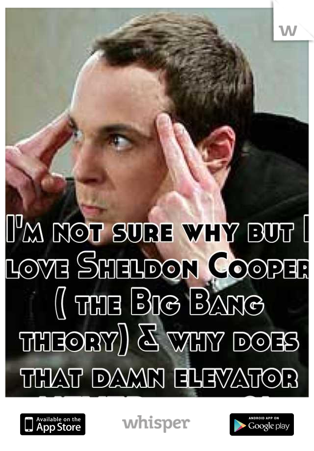 I'm not sure why but I love Sheldon Cooper ( the Big Bang theory) & why does that damn elevator NEVER work ?! 