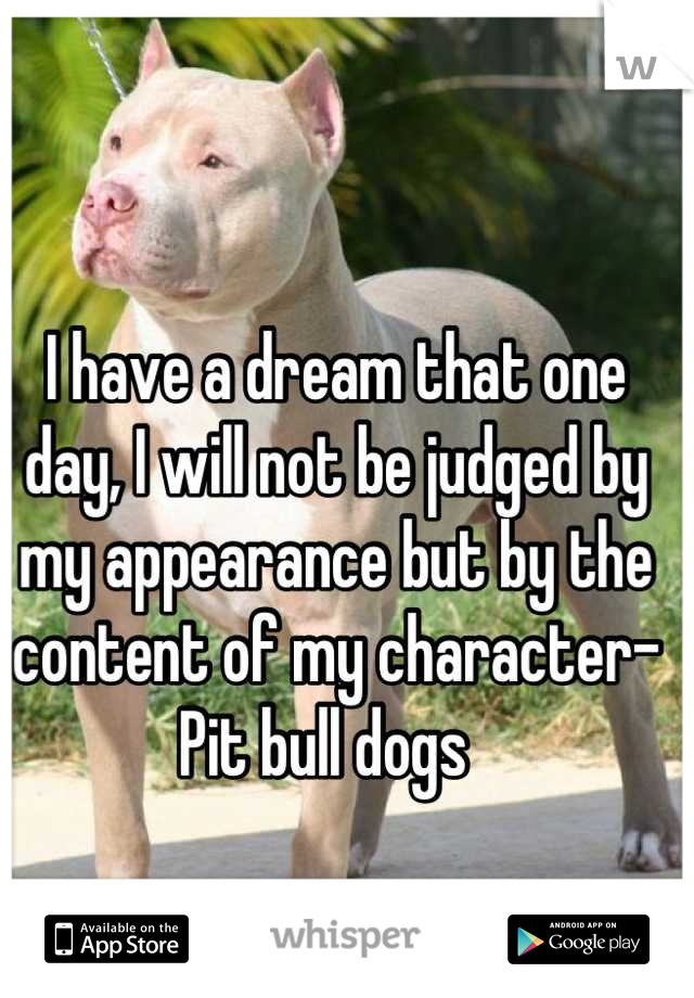 I have a dream that one day, I will not be judged by my appearance but by the content of my character- Pit bull dogs  