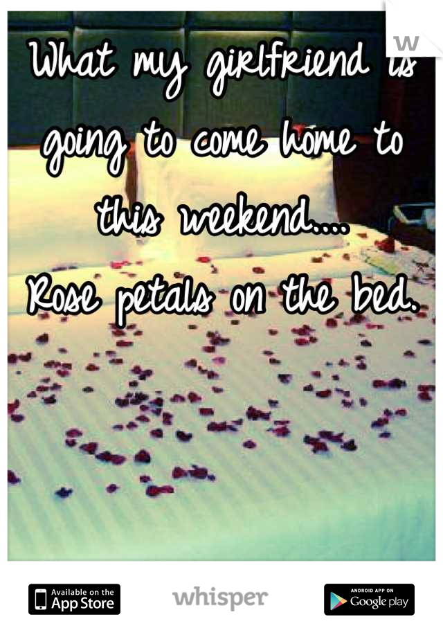 What my girlfriend is going to come home to this weekend....
Rose petals on the bed.