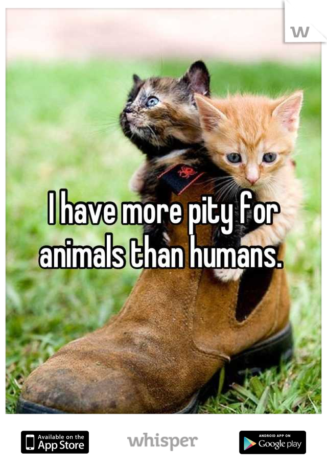 I have more pity for animals than humans. 