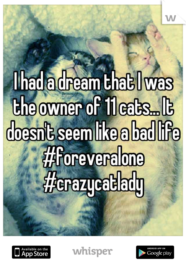 I had a dream that I was the owner of 11 cats... It doesn't seem like a bad life #foreveralone #crazycatlady