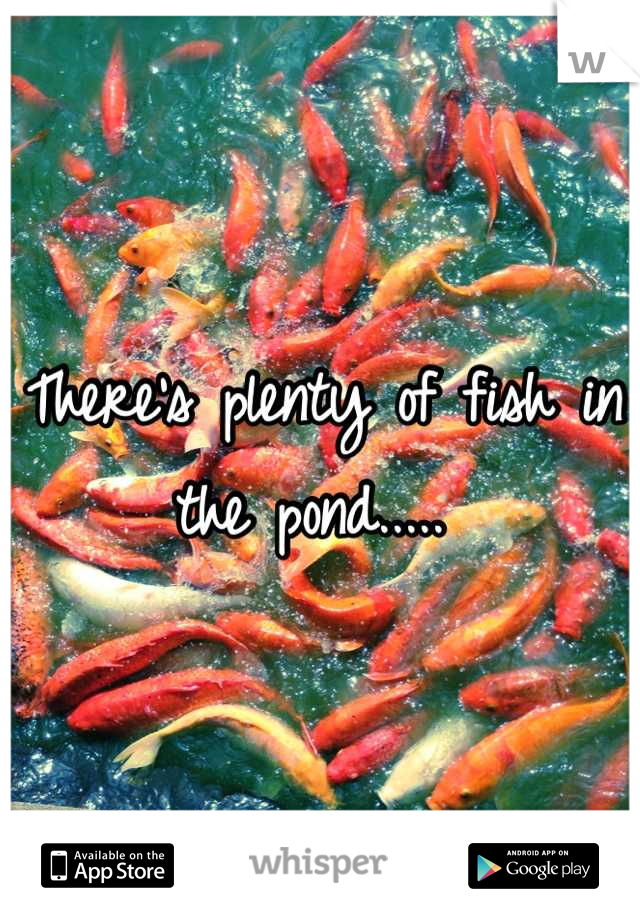 There's plenty of fish in the pond..... 