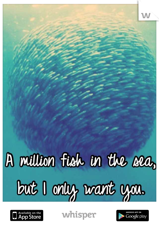 A million fish in the sea, but I only want you.