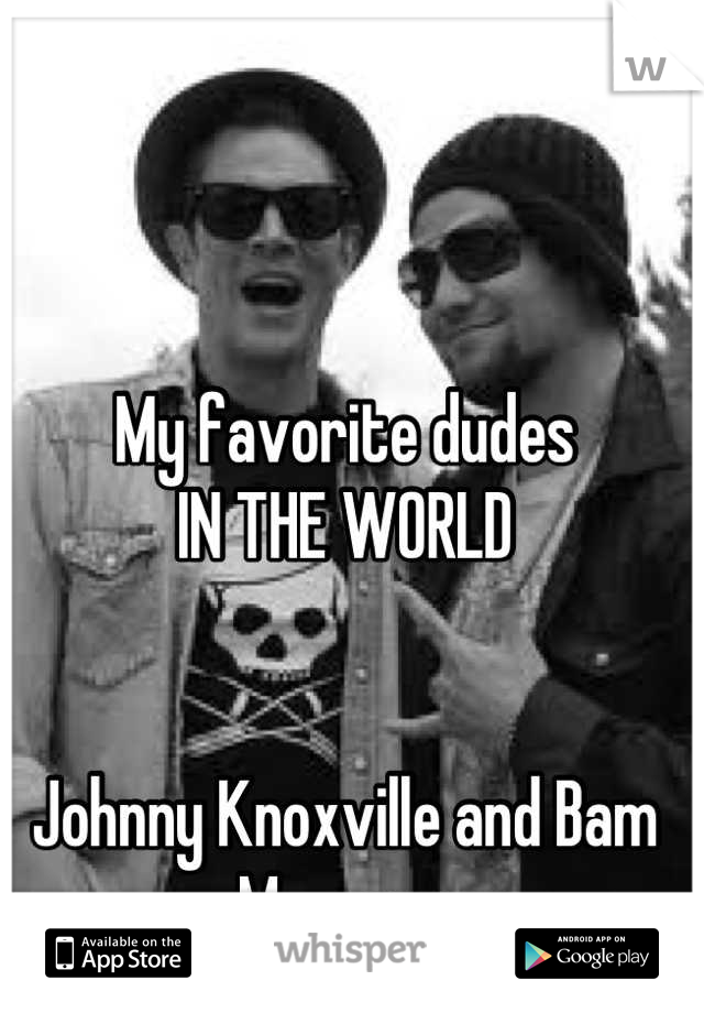 My favorite dudes
IN THE WORLD


Johnny Knoxville and Bam Margera