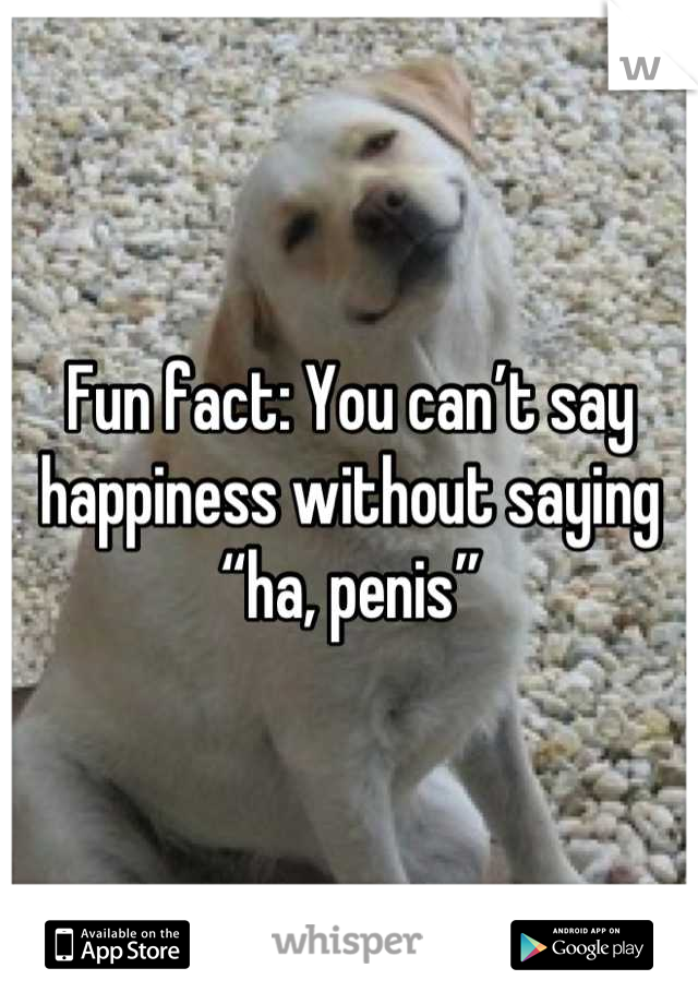 Fun fact: You can’t say happiness without saying “ha, penis”