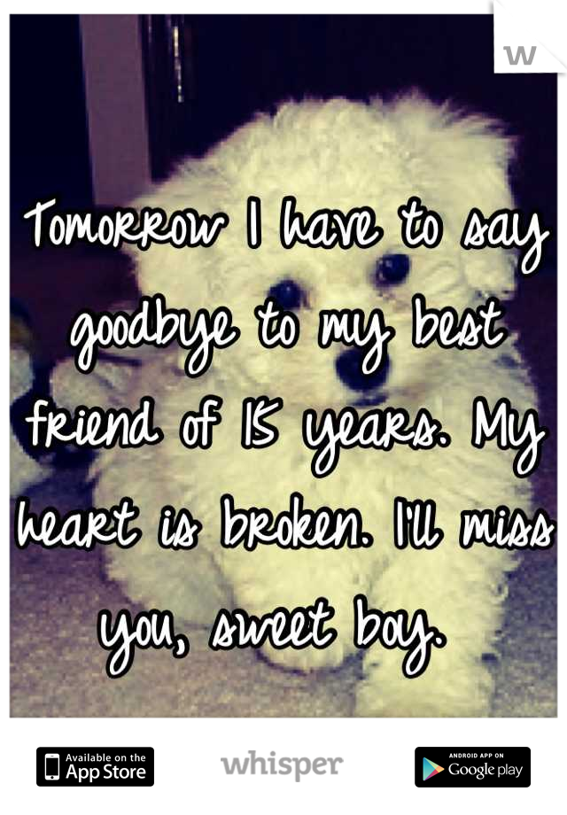 Tomorrow I have to say goodbye to my best friend of 15 years. My heart is broken. I'll miss you, sweet boy. 