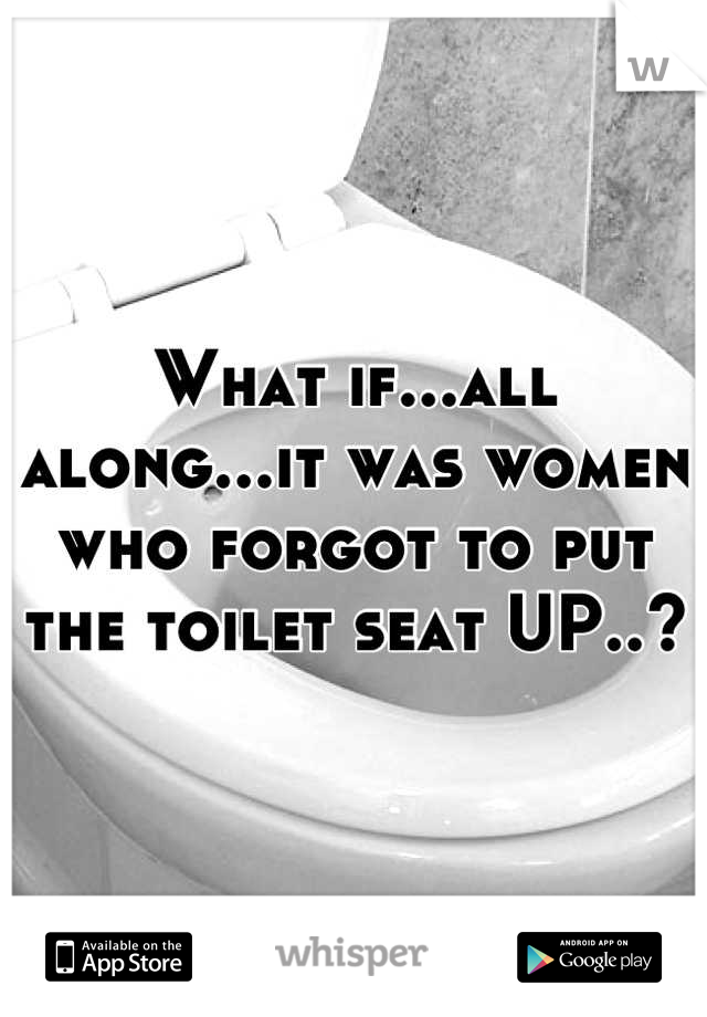 What if...all along...it was women who forgot to put the toilet seat UP..?
