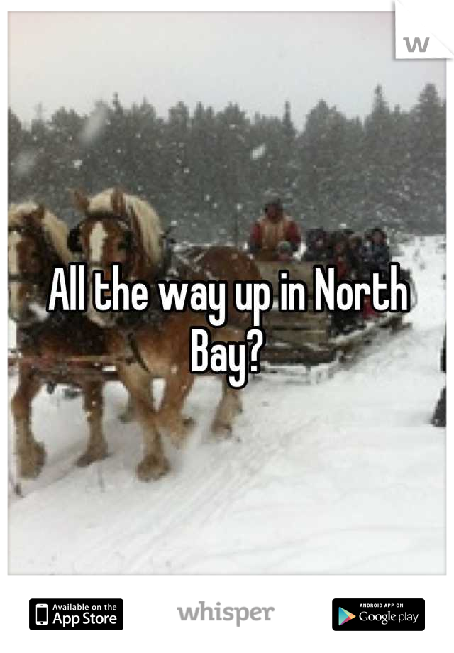 All the way up in North Bay?