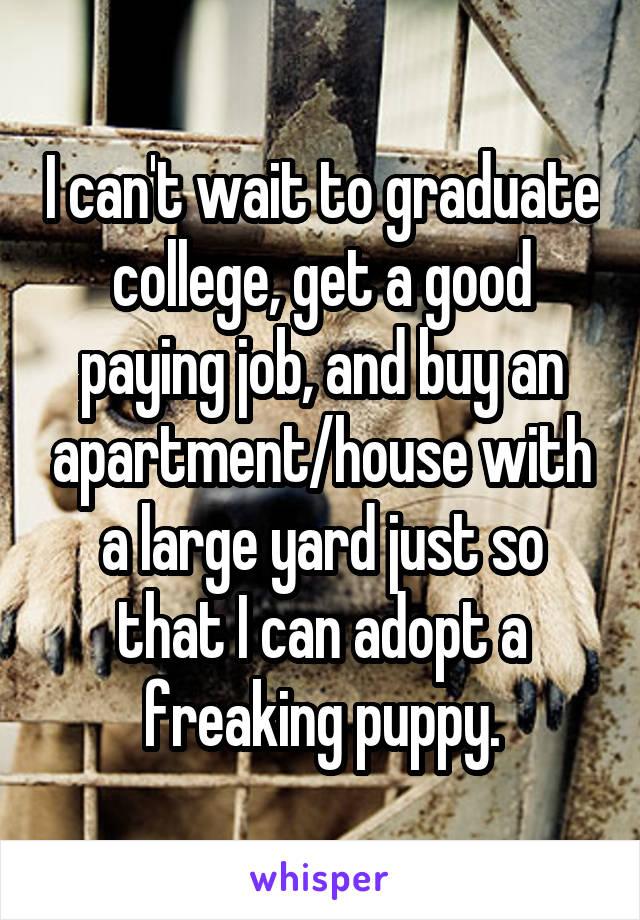 I can't wait to graduate college, get a good paying job, and buy an apartment/house with a large yard just so that I can adopt a freaking puppy.