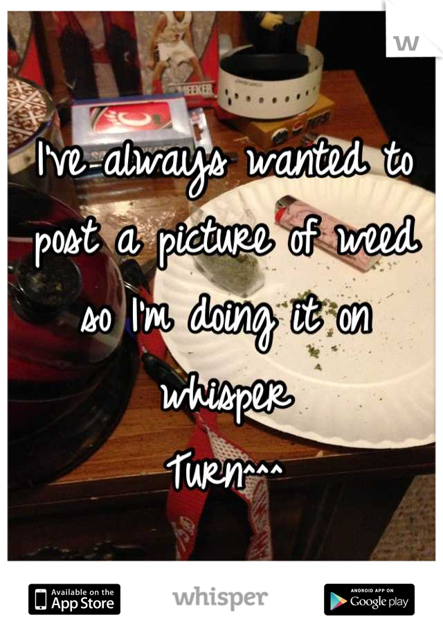 I've always wanted to post a picture of weed so I'm doing it on whisper
Turn^^^