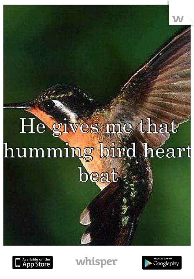 He gives me that humming bird heart beat