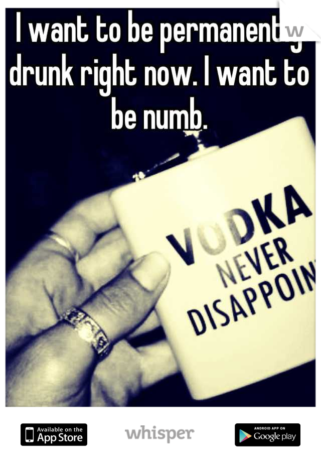 I want to be permanently drunk right now. I want to be numb.