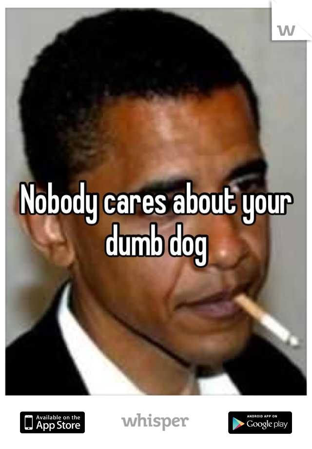 Nobody cares about your dumb dog