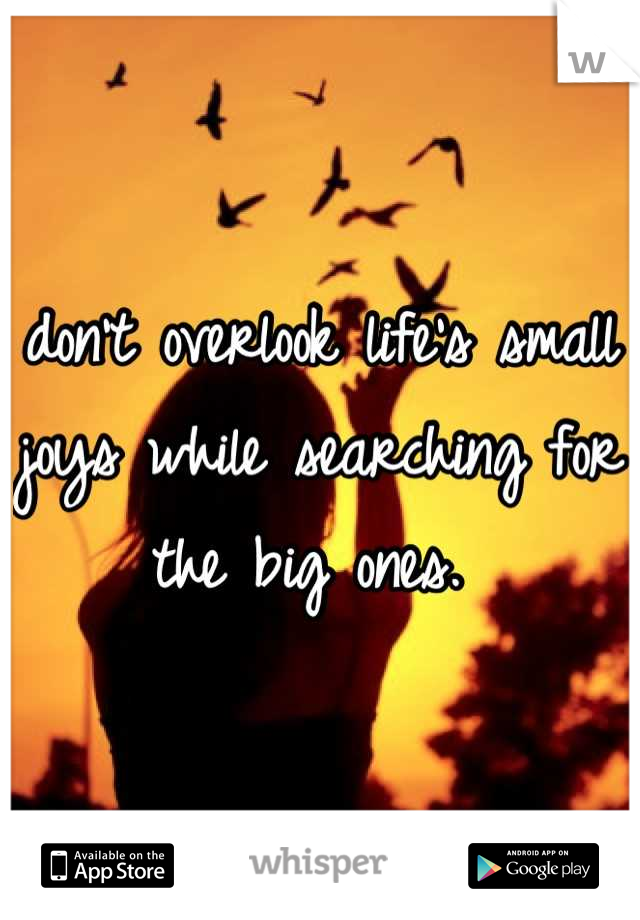 don't overlook life's small joys while searching for the big ones. 