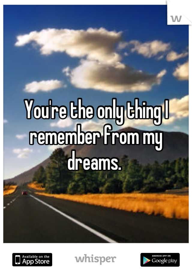 You're the only thing I remember from my dreams. 