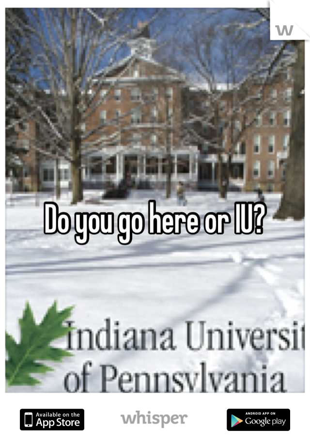 Do you go here or IU?