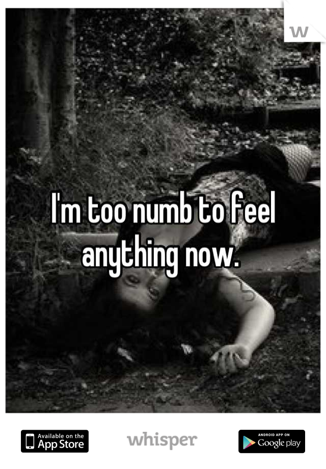 I'm too numb to feel anything now. 